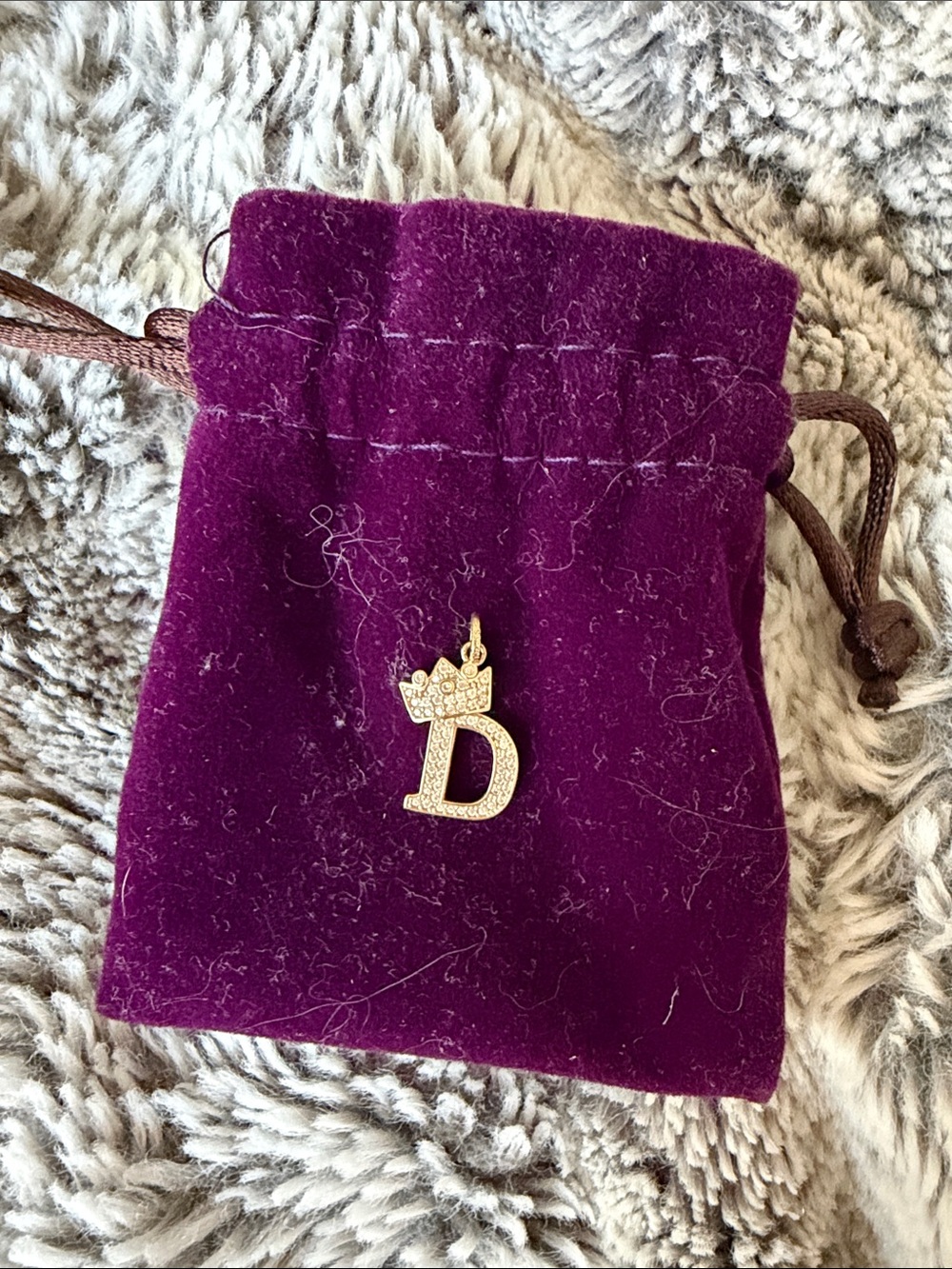 10k Gold Pavé Letter D Crown Charm on Chain
